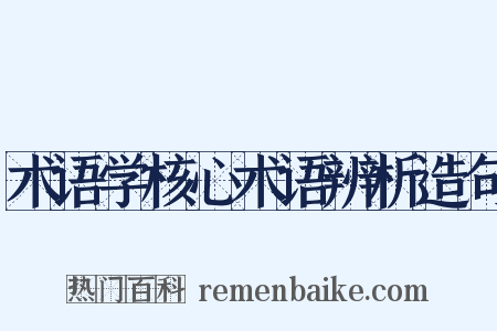 术语学核心术语辨析造句是什么意思的图片